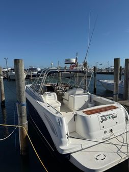 Sea-ray 290-AMBERJACK image