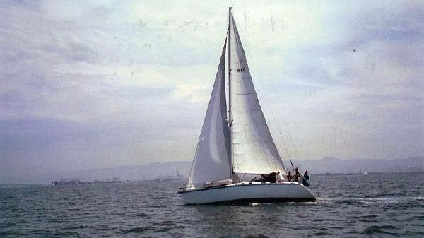 Hunter Legend 37