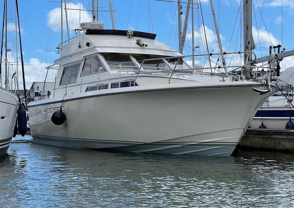 Princess 38 Flybridge image