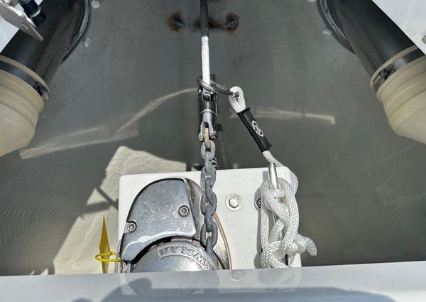 Cobalt 30SC-OUTBOARD image