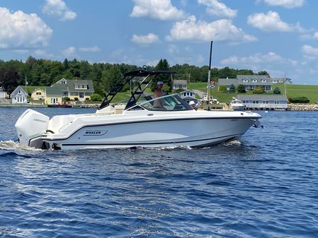 Boston Whaler 240 Vantage image