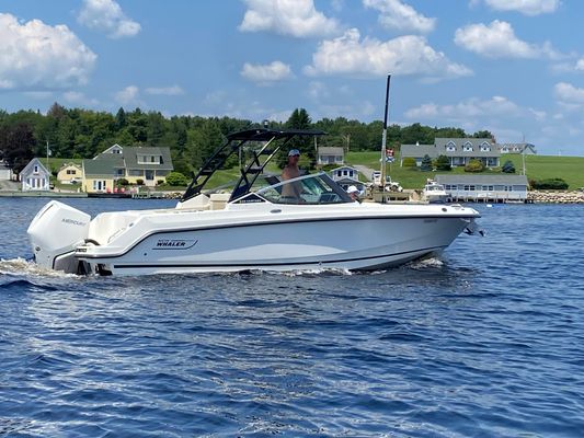 Boston-whaler 240-VANTAGE - main image