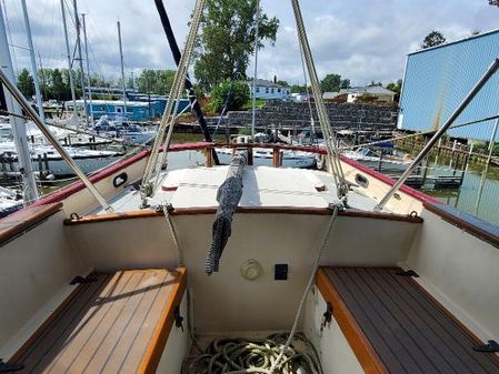 Custom JENNY-37 image