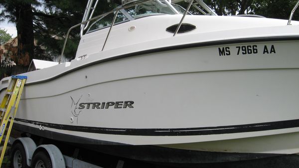 Seaswirl STRIPER