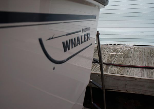 Boston-whaler 210-MONTAUK image
