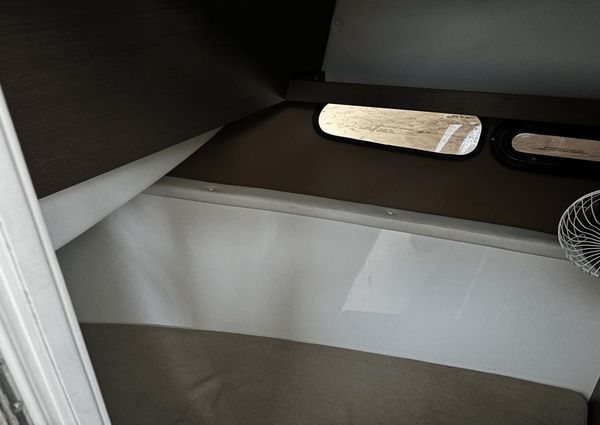 Sea Ray 350 SLX image