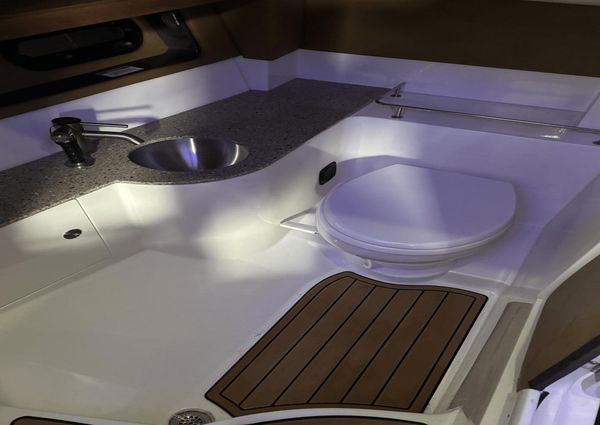 Sea Ray 350 SLX image