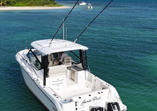 Boston Whaler 325 Conquest image