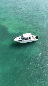 Boston Whaler 325 Conquest image