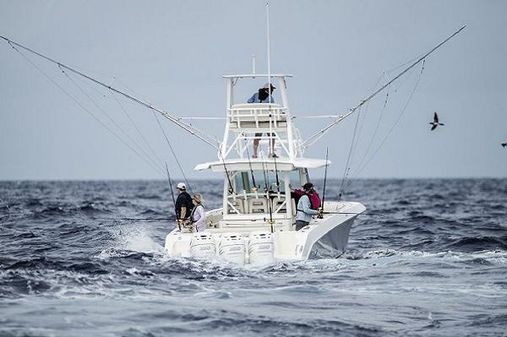Boston-whaler 380-OUTRAGE image