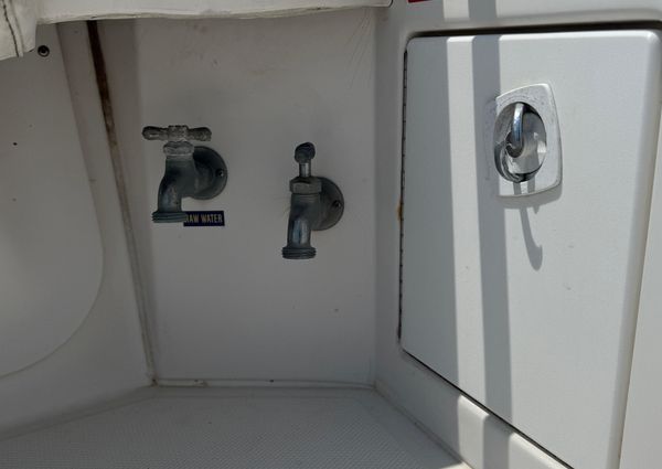 Luhrs 36 Convertible image