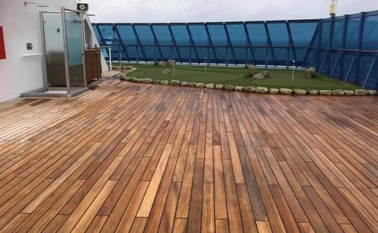 Custom Cruise Ship image