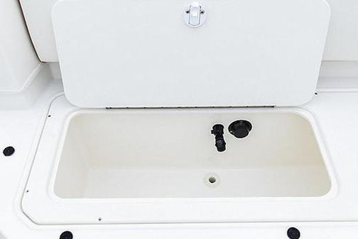 Bayliner DX-2000 image