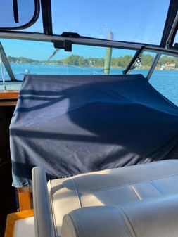 Sea Ray Express Cruiser image