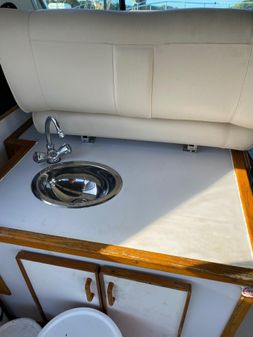 Sea Ray Express Cruiser image