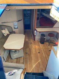 Sea Ray Express Cruiser image