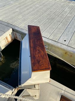 Sea Ray Express Cruiser image