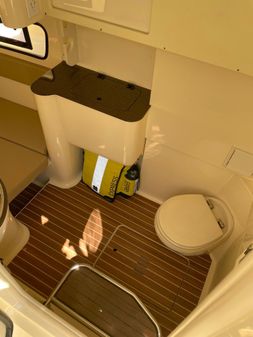 Scout 350 LXF image
