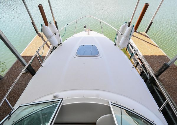 Sea Ray 260 Sundancer image