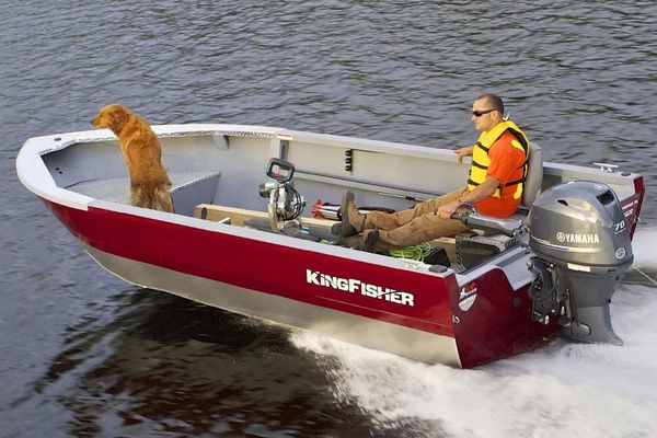 KingFisher 1825 Warrior Tiller - main image