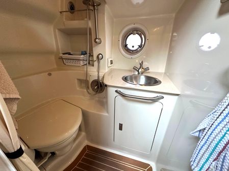 Sea Ray 350 Sundancer image