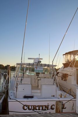 Cabo 36 Express - main image
