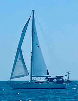 Catalina Morgan 440 image