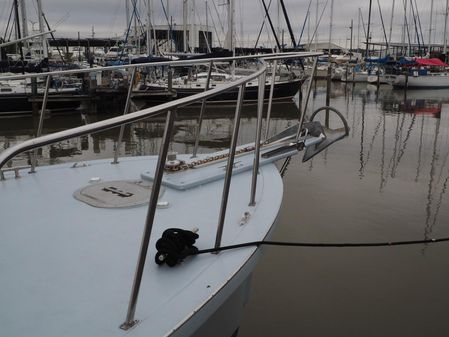 Willard Marine 50 image