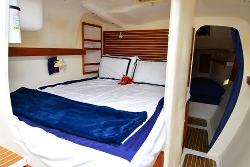 Maine Cat Catamaran image