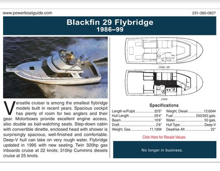 Blackfin 29 Flybridge image