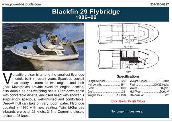 Blackfin 29-FLYBRIDGE image