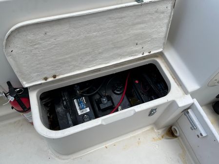Donzi 230 With 2006 200 E-Tec image