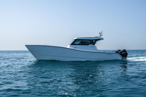 Custom SILVERCAT 34HT image