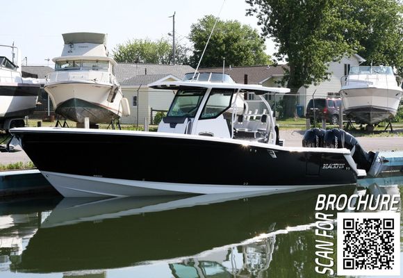 Blackfin 332 CC - main image