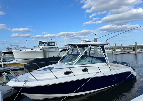 Robalo R305 Walkaround image