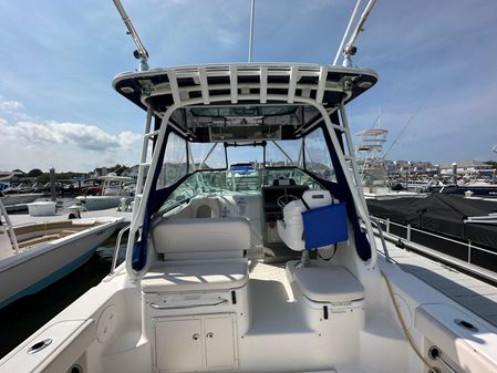 Robalo R305 Walkaround image