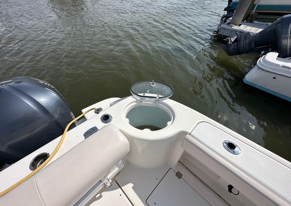 Robalo R305 Walkaround image