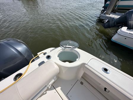 Robalo R305 Walkaround image