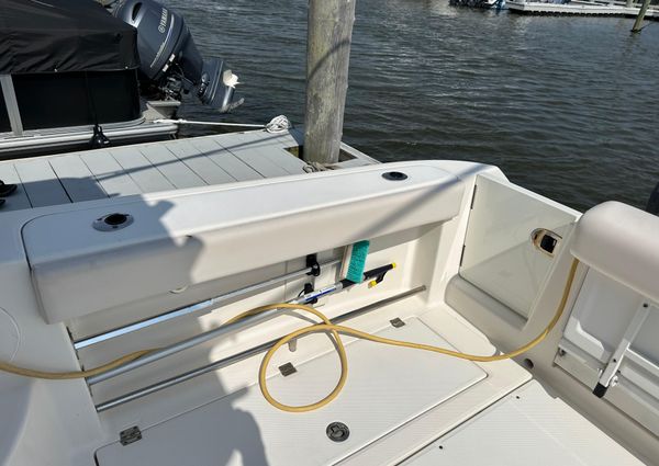 Robalo R305 Walkaround image