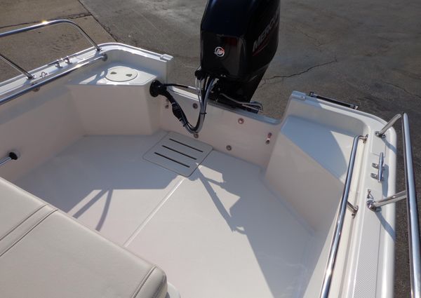 Boston-whaler 150-MONTAUK image