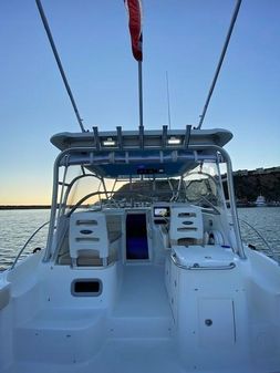 Boston-whaler 305 image
