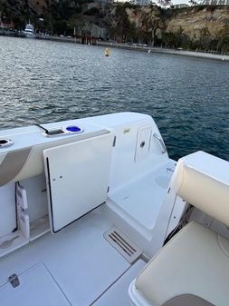 Boston-whaler 305 image