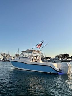 Boston-whaler 305 image