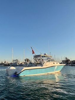 Boston-whaler 305 image