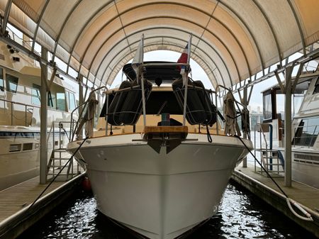 Bayliner 4588 Motoryacht image