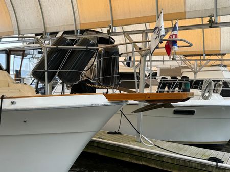 Bayliner 4588-MOTORYACHT image