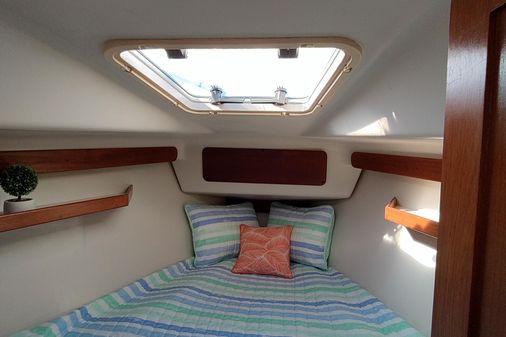 Catalina C380 image