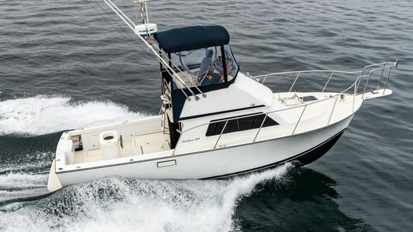 Blackman Flybridge 29 