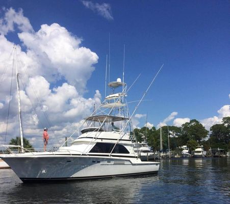 Bertram Sport Fish - main image