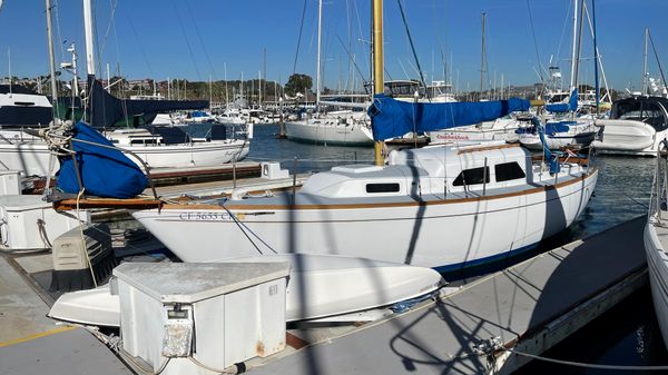 Pelagic sloop